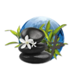 Parfum De Spa à Base D'huiles Essentielles Orient 250 Ml 6 Parfum De Spa à Base D'huiles Essentielles Orient 250 Ml -Intex Soldes Boutique parfum spa huiles essentielles orient camylle 250 ml 2